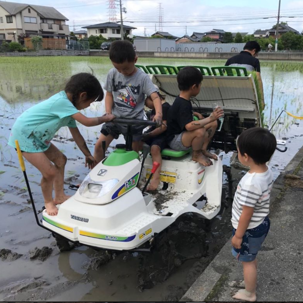 田んぼで子どもたちが農作業に触れている様子